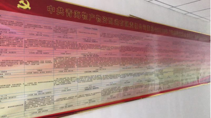 物產配送公司黨委“黨的建設重點強化年”活動2018年工作任務、組織保障具體化